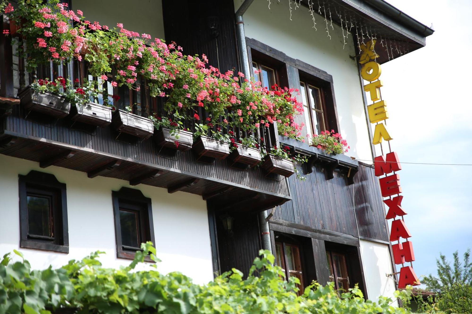 Oazis Family Hotel Loveci Exterior foto